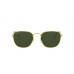RAY BAN FRANK LEGEND GOLD RB3857 9196/31